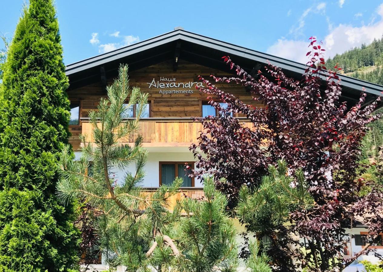 Haus Alexandra Appartement Werfenweng Buitenkant foto