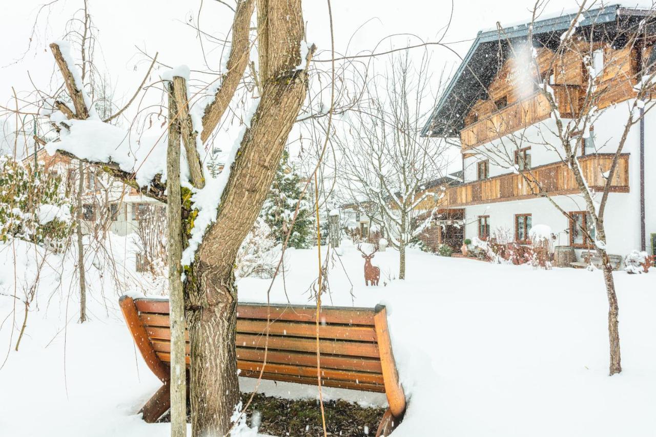 Haus Alexandra Appartement Werfenweng Buitenkant foto